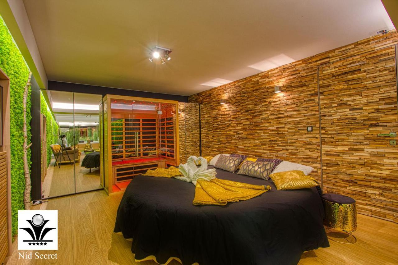 Panoramique 180 Lac Et Montagne Et Nid Secret Spa Romantique Анси Екстериор снимка