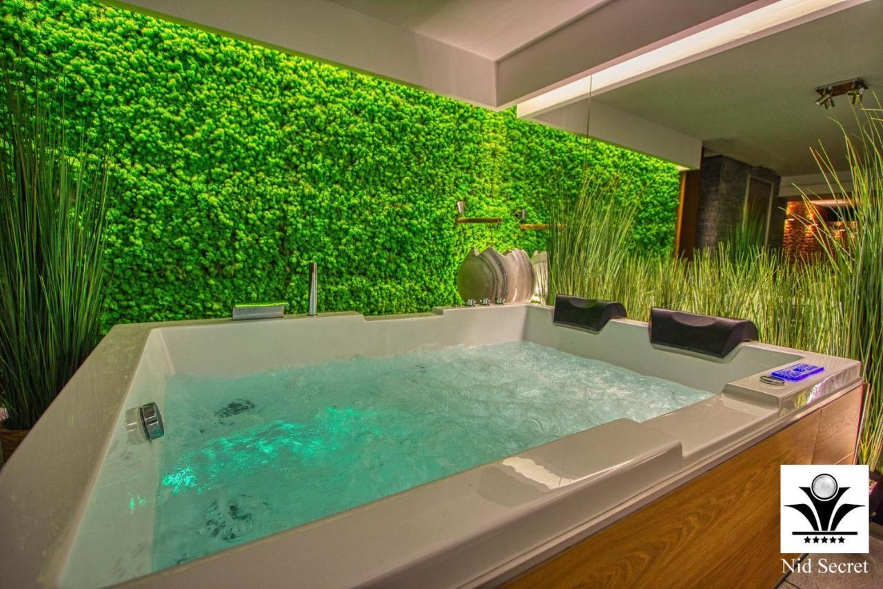 Panoramique 180 Lac Et Montagne Et Nid Secret Spa Romantique Анси Екстериор снимка